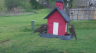 /Birds//Thumbs//found20250403-102254.png 