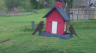 /Birds//Thumbs//found20250403-102439.png 