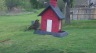 /Birds//Thumbs//found20250403-103224.png 