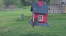 /Birds//Thumbs//found20250403-103636.png 