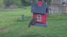 /Birds//Thumbs//found20250403-103646.png 