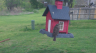 /Birds//Thumbs//found20250403-103700.png 