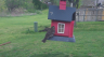 /Birds//Thumbs//found20250403-103725.png 