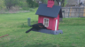 /Birds//Thumbs//found20250403-104613.png 