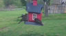 /Birds//Thumbs//found20250403-104805.png 