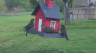 /Birds//Thumbs//found20250403-104820.png 