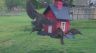 /Birds//Thumbs//found20250403-104904.png 