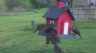 /Birds//Thumbs//found20250403-104920.png 