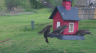 /Birds//Thumbs//found20250403-104951.png 