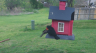 /Birds//Thumbs//found20250403-112631.png 