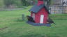 /Birds//Thumbs//found20250403-112722.png 