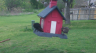 /Birds//Thumbs//found20250403-112732.png 