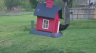 /Birds//Thumbs//found20250403-115520.png 