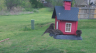 /Birds//Thumbs//found20250403-115907.png 