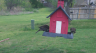 /Birds//Thumbs//found20250403-120407.png 