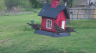 /Birds//Thumbs//found20250403-120437.png 