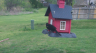 /Birds//Thumbs//found20250403-120914.png 