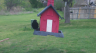 /Birds//Thumbs//found20250403-120943.png 