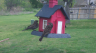 /Birds//Thumbs//found20250403-120955.png 