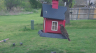 /Birds//Thumbs//found20250403-123200.png 
