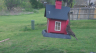 /Birds//Thumbs//found20250403-123244.png 