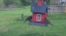/Birds//Thumbs//found20250403-124624.png 