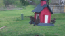 /Birds//Thumbs//found20250403-124656.png 