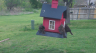 /Birds//Thumbs//found20250403-124756.png 