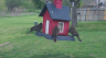 /Birds//Thumbs//found20250403-124821.png 