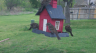 /Birds//Thumbs//found20250403-125004.png 