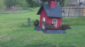 /Birds//Thumbs//found20250403-125013.png 