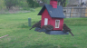 /Birds//Thumbs//found20250403-125059.png 