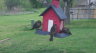 /Birds//Thumbs//found20250403-131442.png 