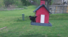 /Birds//Thumbs//found20250403-131901.png 