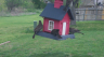 /Birds//Thumbs//found20250403-132315.png 