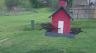 /Birds//Thumbs//found20250403-132355.png 