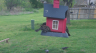 /Birds//Thumbs//found20250403-132412.png 