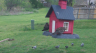 /Birds//Thumbs//found20250403-132426.png 