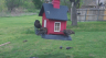 /Birds//Thumbs//found20250403-132443.png 