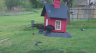 /Birds//Thumbs//found20250403-132526.png 