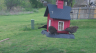 /Birds//Thumbs//found20250403-142431.png 