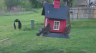 /Birds//Thumbs//found20250403-142501.png 