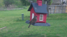 /Birds//Thumbs//found20250403-142956.png 