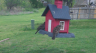 /Birds//Thumbs//found20250403-143205.png 