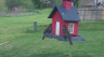 /Birds//Thumbs//found20250403-143220.png 
