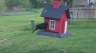 /Birds//Thumbs//found20250403-145639.png 