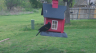 /Birds//Thumbs//found20250403-145650.png 