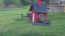 /Birds//Thumbs//found20250403-150029.png 