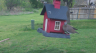 /Birds//Thumbs//found20250403-150359.png 