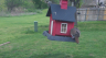/Birds//Thumbs//found20250403-154006.png 